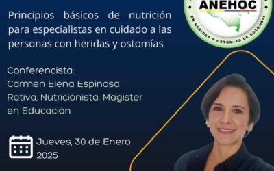 Webinar ANEHOC: Principios básicos de nutrición para especialistas en cuidado a las personas con heridas y ostomías.